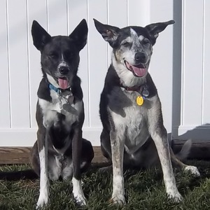 Fundraising Page: Deb Van Dusen